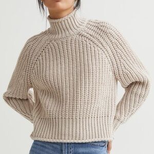 H&M Chunky Cable Knit Cropped Cream Turtleneck Sweater